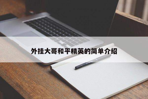 外挂大哥和平精英的简单介绍  第1张