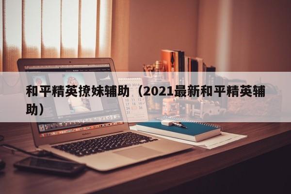 和平精英撩妹辅助（2021最新和平精英辅助）  第1张